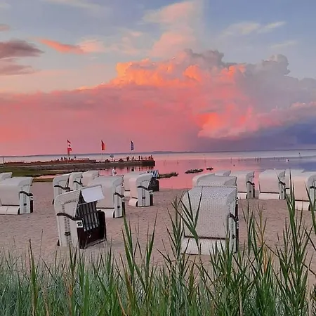 Sea Vogelsang-Warsin