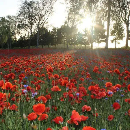 Appartamento Sea Vogelsang-Warsin