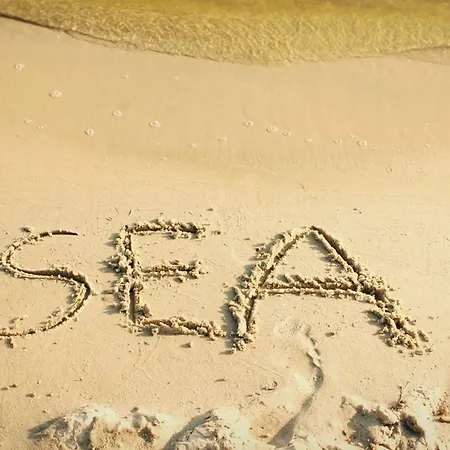 Sea Vogelsang-Warsin