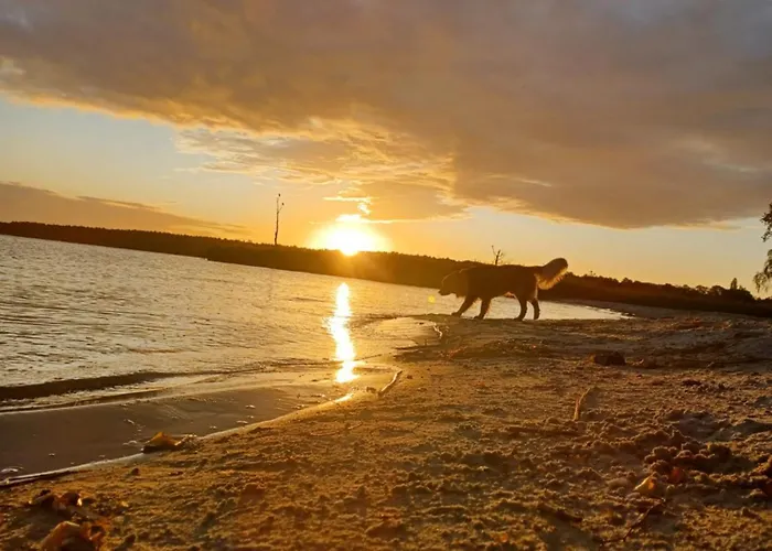 Sea Appartement Vogelsang-Warsin