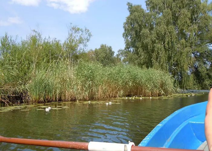 Sea * Vogelsang-Warsin