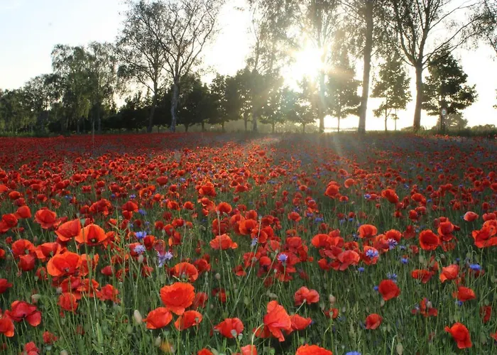 Appartement Sea Vogelsang-Warsin