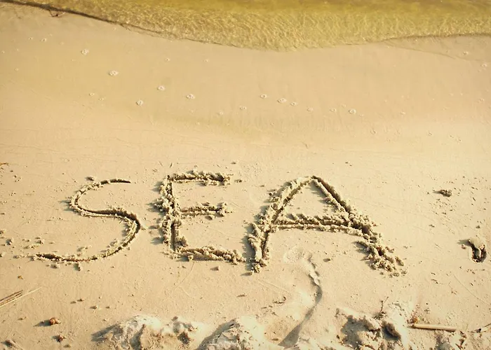 Sea Vogelsang-Warsin