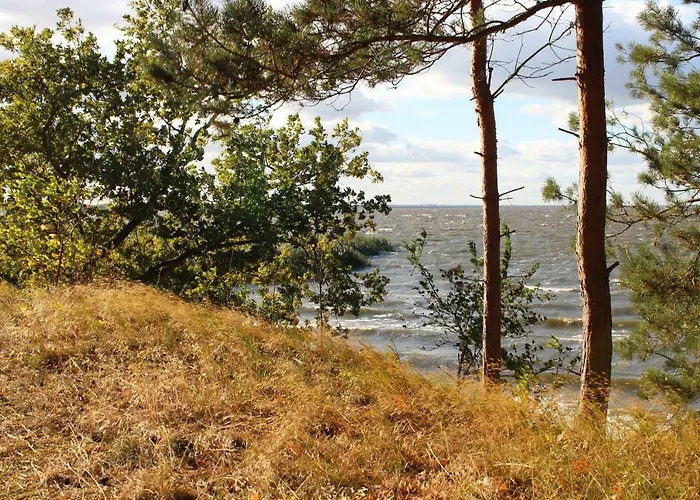 Sea * Vogelsang-Warsin